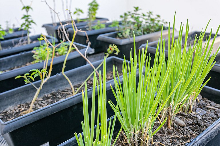 WI-FI 300MB | 400m from UFSC #CARV01