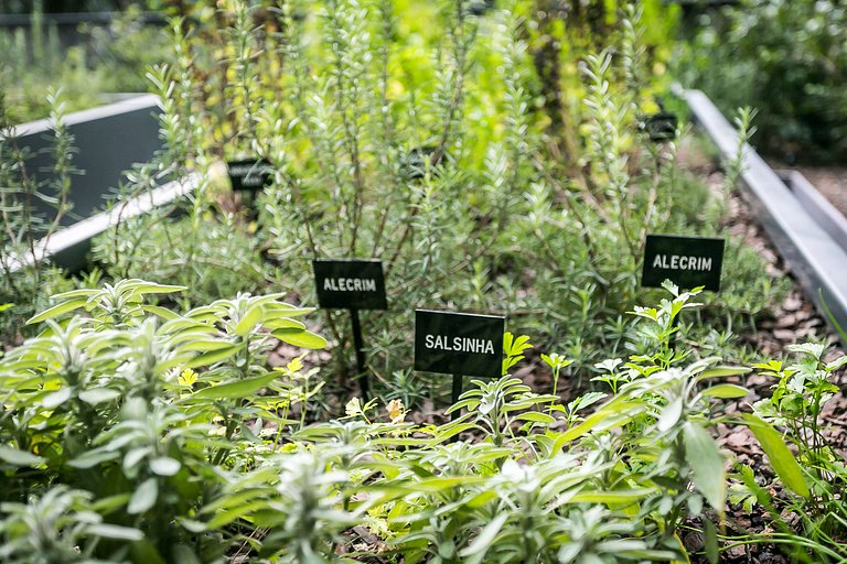 WI-FI 300MB | 450m from Shopping | Foodhall #CA69D